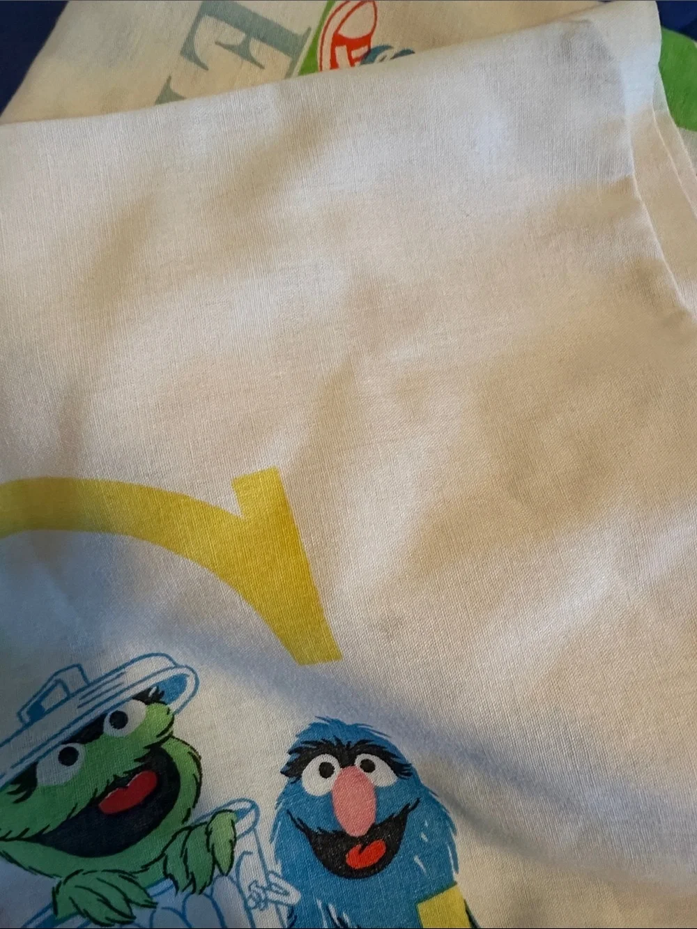Vintage Sesame Street pillow case and flat twin size sheet